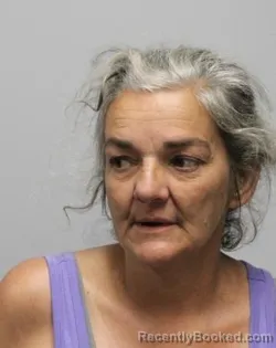Mugshot of SHEILA ANN HANEY booked in Bradley County, Tennessee on May 8, 2026