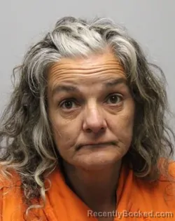 Mugshot of SHEILA ANN HANEY booked in Bradley County, Tennessee on July 13, 2026