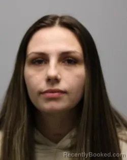 Mugshot of SARAH MICHELLE NORTON booked in Bradley County, Tennessee on March 25, 2026