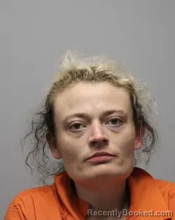 Mugshot of TERI MICHELLE HARRIS booked in Bradley County, Tennessee on May 27, 2026