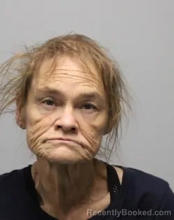 Mugshot of TAMMY LYNN ERVIN LAKES booked in Bradley County, Tennessee on July 1, 2026
