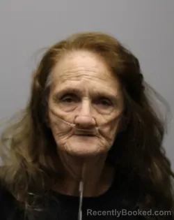 Mugshot of THURSA JANE ORR booked in Bradley County, Tennessee on March 17, 2026