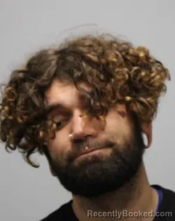 Mugshot of TRISTAN JAMES STANLEY