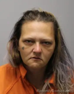 Booking photo from Bradley County, Tennessee