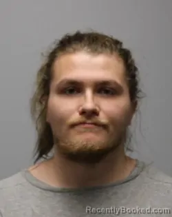 Booking photo from Bradley County, Tennessee