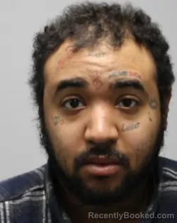 Mugshot of WILLIAM N LIVELY