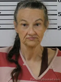 Mugshot of Jerry Lynn Gouge booked in Carter County, Tennessee on August 20, 2026