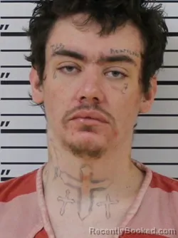 Mugshot of LANDON JAMES SEABOCH booked in Carter County, Tennessee on March 22, 2026