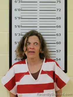 Mugshot of KRISTI DAWN NELSON booked in Carter County, Tennessee on March 21, 2026