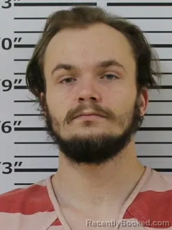 Mugshot of TRENTON KYLE RYAN EFFLER