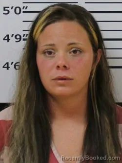 Mugshot of HEATHER D HUGHES booked in Carter County, Tennessee on April 1, 2026