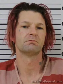 Mugshot of PATRICK A HERON