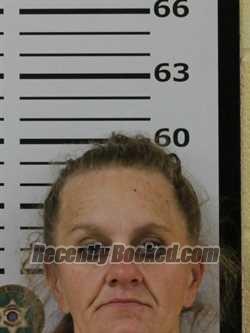 Mugshot of JENNIFER NICOLE DAVIS booked in Carter County, Tennessee on July 10, 2026