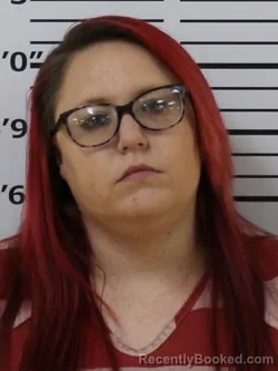 Mugshot of KRISTEN DAVIS