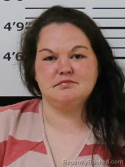Mugshot of BRITTANY LASHEA WILLIAMS
