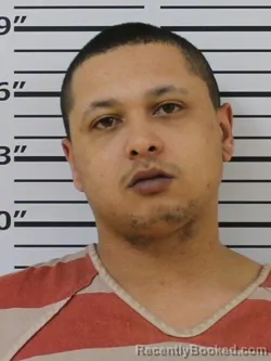 Mugshot of STEPHON TYLER HAYNES