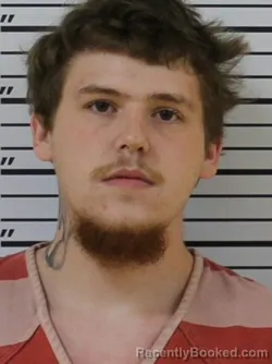Mugshot of NOAH ADAM HART booked in Carter County, Tennessee on July 15, 2026