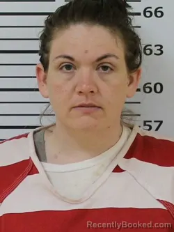 Mugshot of SAMANTHA LAWSON