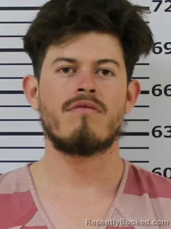 Mugshot of ALEXIS FREYMAN MAURICIO GONZALEZ