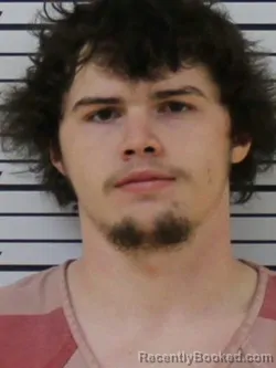 Mugshot of TYLER GIBSON