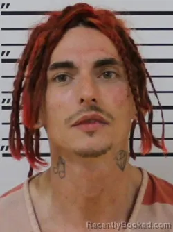 Mugshot of CHRISTOPHE K ARROWOOD booked in Carter County, Tennessee on March 20, 2026