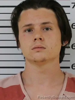 Mugshot of LAWRENCE DELANEY PATTERSON booked in Carter County, Tennessee on March 22, 2026