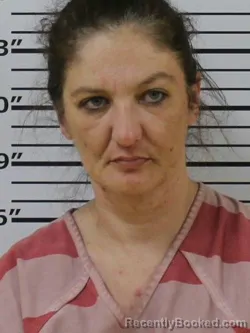 Mugshot of BRANDY L OAKS booked in Carter County, Tennessee on March 24, 2026