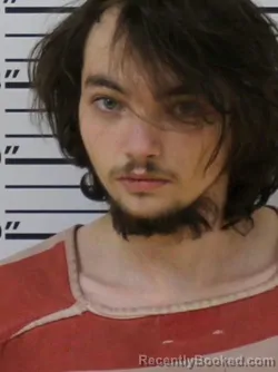 Mugshot of ALEX J COLLINS booked in Carter County, Tennessee on March 25, 2026