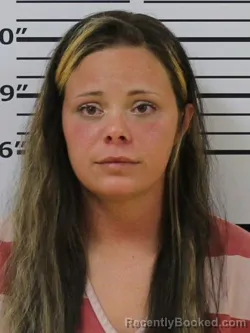 Mugshot of SHAWN GULLEY booked in Carter County, Tennessee on April 1, 2026