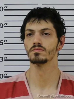 Mugshot of DONALD ARNETT booked in Carter County, Tennessee on April 7, 2026