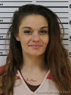 Mugshot of HEAVEN L PEET MATTOX booked in Carter County, Tennessee on April 8, 2026