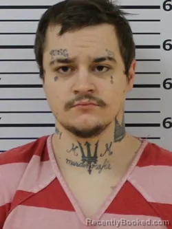 Mugshot of BILLY RAY WILLIAMS booked in Carter County, Tennessee on April 24, 2026