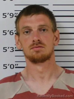 Mugshot of DAVID L REECE booked in Carter County, Tennessee on April 24, 2026