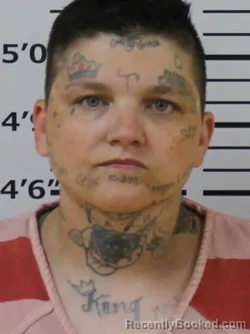 Mugshot of MICHELLE LEE CHAPMAN booked in Carter County, Tennessee on May 10, 2026