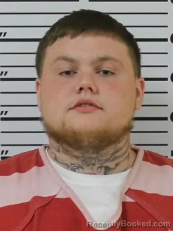 Mugshot of Ronnie Lee Deering