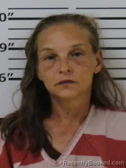 Mugshot of Stephanie Constance Hendrix booked in Carter County, Tennessee on October 7, 2026