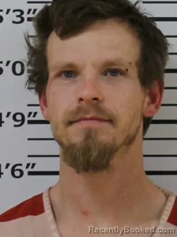 Mugshot of LANCE J LEWIS