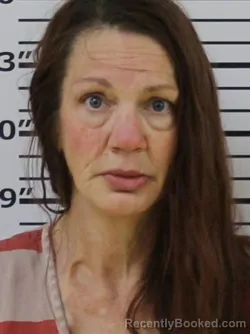 Mugshot of DONNA M HOLTSCLAW booked in Carter County, Tennessee on March 31, 2026