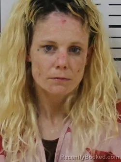 Mugshot of KRISTIN NOEL HONEYCUTT booked in Carter County, Tennessee on April 5, 2026