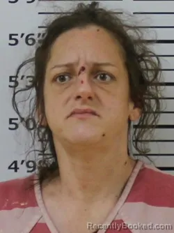 Mugshot of LEAH VINES ANDERSON