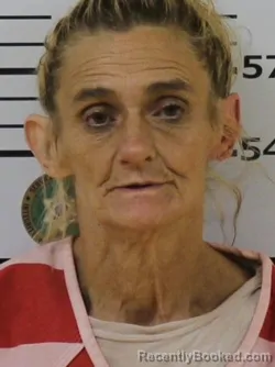 Mugshot of Geraldine Virginia Whitaker booked in Carter County, Tennessee on August 25, 2026