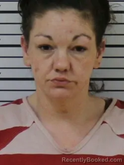 Mugshot of MEGAN MARIE KAY CHORVAS booked in Carter County, Tennessee on April 3, 2026