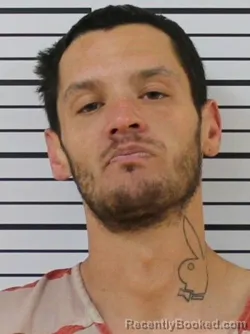 Mugshot of KELLY LEE RAINS