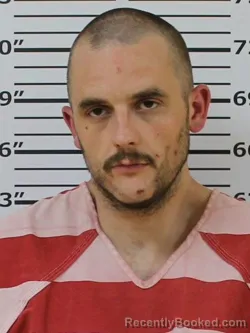 Mugshot of HENRY ALLEN HICKS