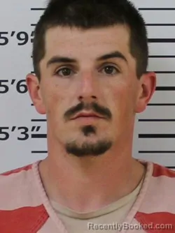 Mugshot of ALEX M KLAUB booked in Carter County, Tennessee on April 2, 2026