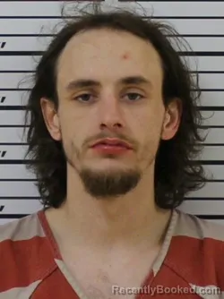 Mugshot of JORDAN RAY COLLINS