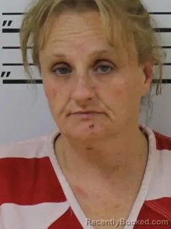 Mugshot of Amy Ericka Arnett booked in Carter County, Tennessee on August 29, 2026