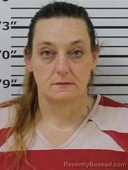 Mugshot of SHANNON GAIL MILLER booked in Carter County, Tennessee on March 28, 2026