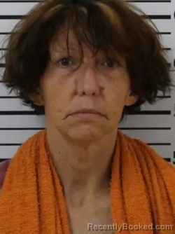 Mugshot of AMANDA ELIZABETH OWENS booked in Carter County, Tennessee on May 12, 2026
