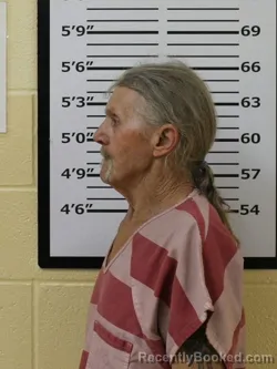 Mugshot of GARY LEE MCGUIRE booked in Carter County, Tennessee on April 9, 2026